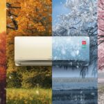 Left-to-Right vs Right-to-Left: How Arabic Rewires Your Brain?