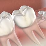 Property Presentation Professionals: The Secret to Maximising Property Appeal and Value