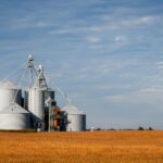 The Digital Shift: How Tech Is Personalizing Education