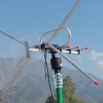 Hardwood vs Softwood Pallets: What’s the Real Difference in Use